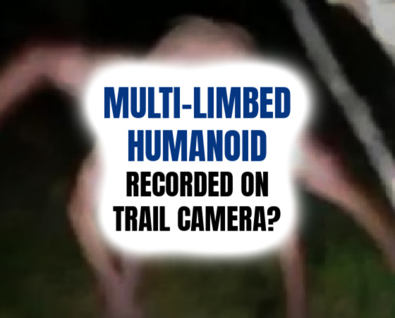 MULTI-LIMBED HUMANOID Recorded on Trail Camera (PHOTO)?