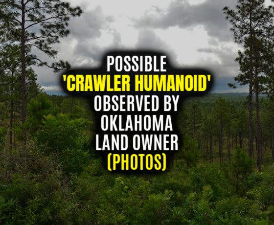 Possible ‘CRAWLER HUMANOID’ Observed by Oklahoma Land Owner (PHOTOS)