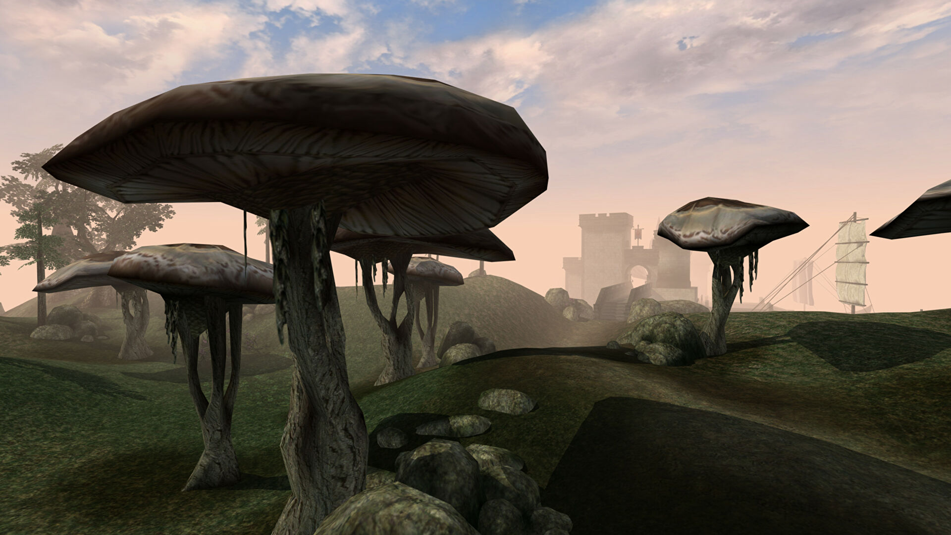 What’s better: character creation building backstory, or giant fungus?