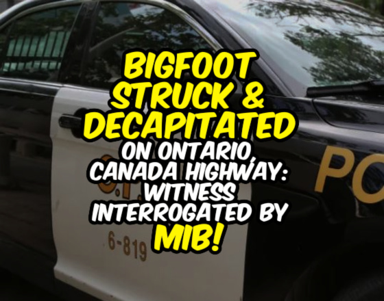 BIGFOOT STRUCK & DECAPITATED on Ontario, Canada Highway: Witness Interrogated by MIB!