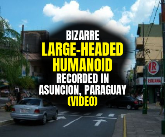 Bizarre LARGE-HEADED HUMANOID Recorded in Asuncion, Paraguay (VIDEO)