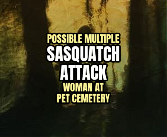 Possible Multiple SASQUATCH ATTACK Woman at Pet Cemetery
