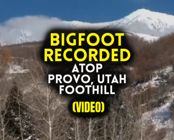BIGFOOT RECORDED Atop Provo, Utah Foothill (VIDEO)