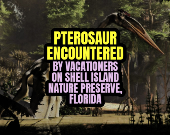 PTEROSAUR ENCOUNTERED by Vacationers on Shell Island Nature Preserve, Florida
