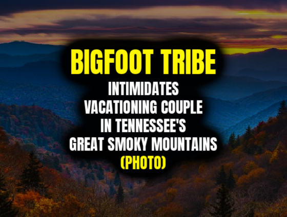 BIGFOOT TRIBE Intimidates Vacationing Couple in Tennessee’s Great Smoky Mountains