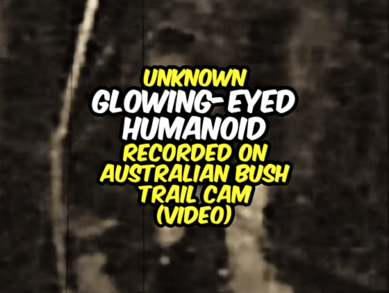 Unknown GLOWING-EYED HUMANOID Recorded on Australian Bush Trail Cam (VIDEO)