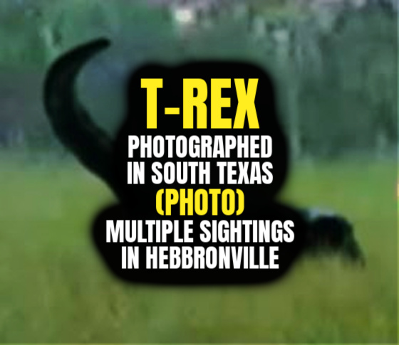 T-REX PHOTOGRAPHED in South Texas (PHOTO) – Multiple Sightings in Hebbronville