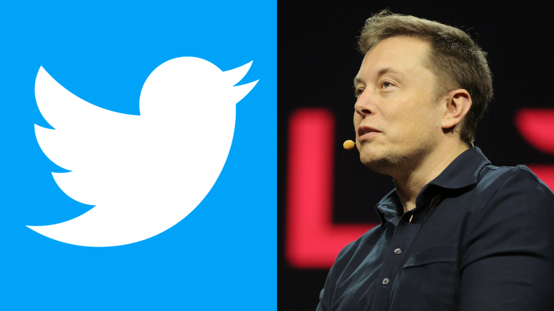 Elon Musk Planning Vine Reboot After Twitter Acquisition