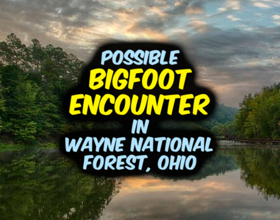 Possible BIGFOOT ENCOUNTER in Wayne National Forest, Ohio