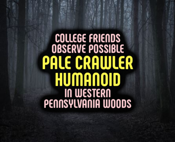 College Friends Observe Possible PALE CRAWLER HUMANOID in Western Pennsylvania Woods