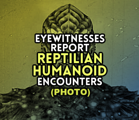 Eyewitnesses Report REPTILIAN HUMANOID Encounters (PHOTO)