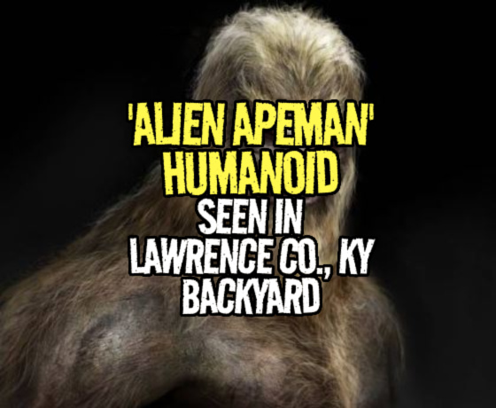 ‘ALIEN APEMAN’ HUMANOID Seen in Lawrence County, Kentucky Backyard