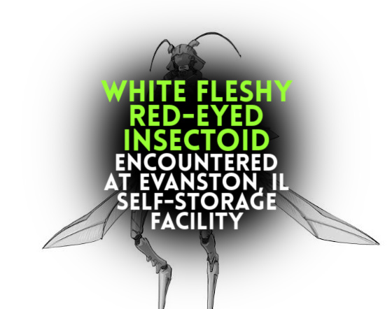 WHITE FLESHY RED-EYED INSECTOID Encountered at Evanston, Illinois Self-Storage Facility