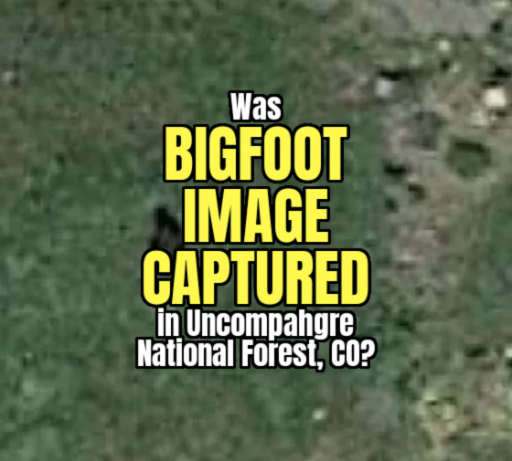 Was BIGFOOT IMAGE CAPTURED in Uncompahgre National Forest, Colorado?