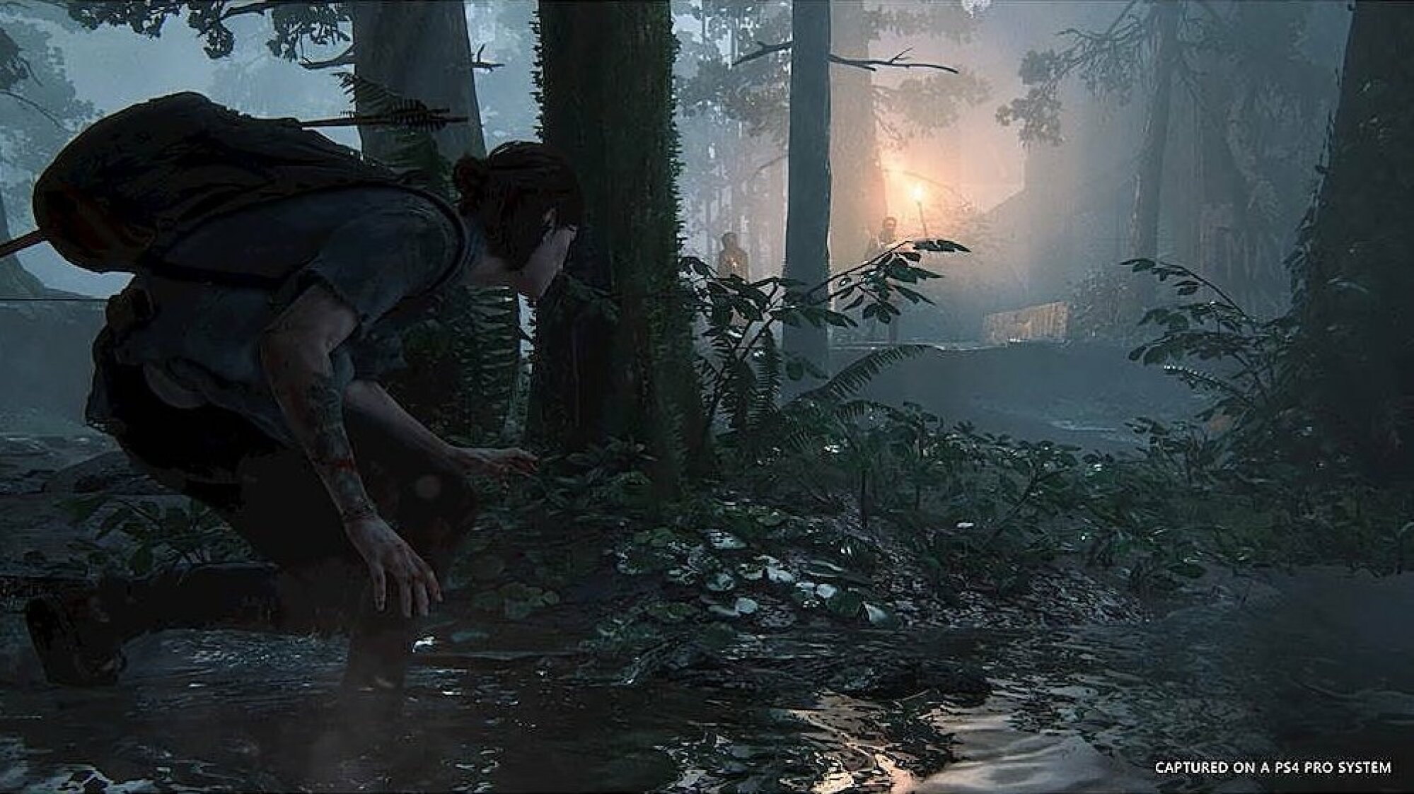 a screenshot from the last of us part 2