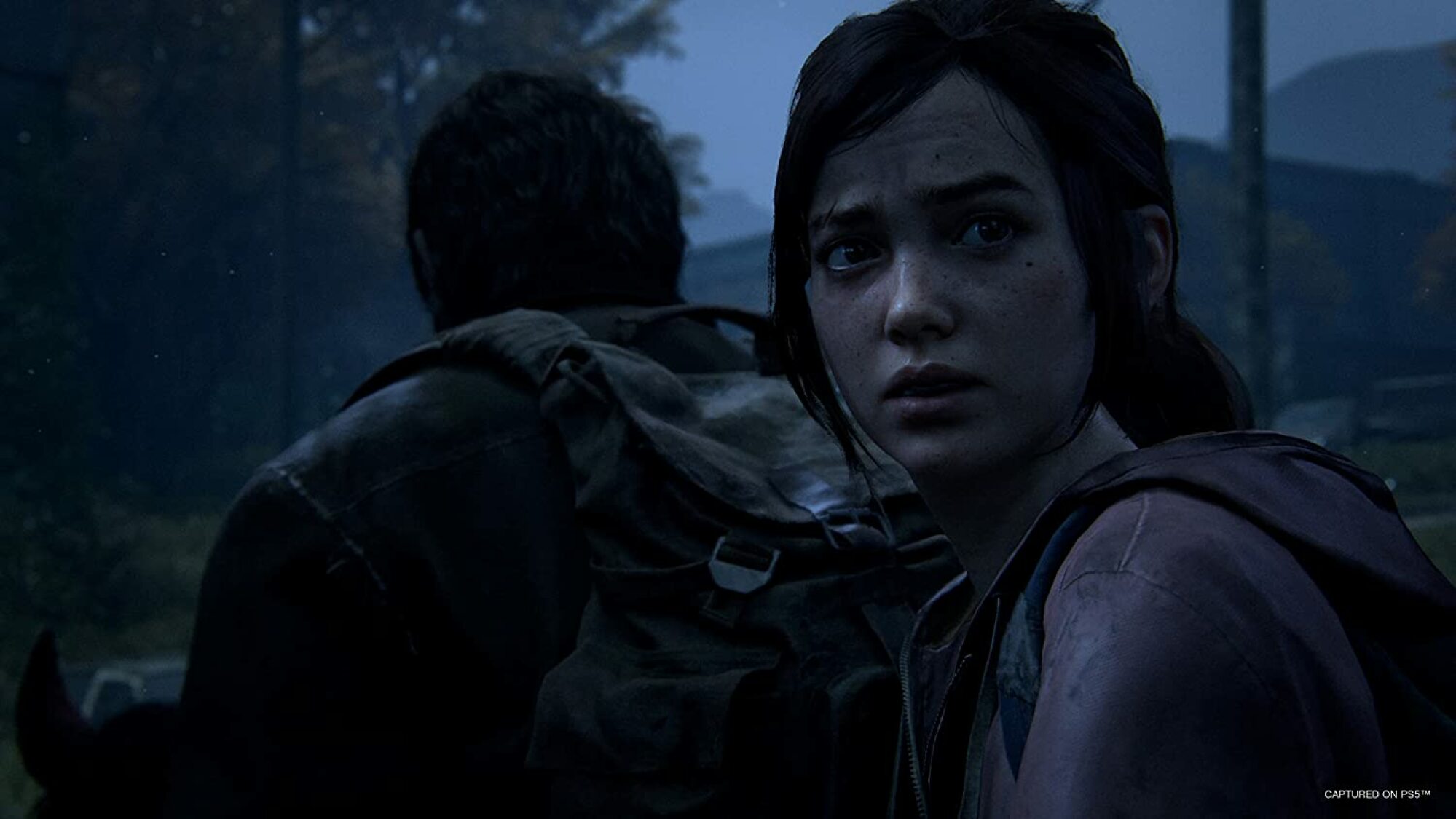 a screenshot from the last of us part 1