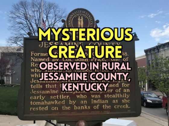 MYSTERY CREATURE Observed in Rural Jessamine County, Kentucky