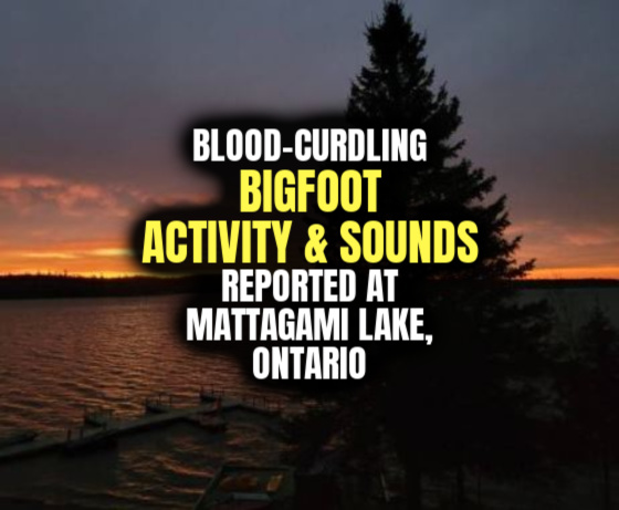 Blood-Curdling BIGFOOT ACTIVITY & SOUNDS reported at Mattagami Lake, Ontario