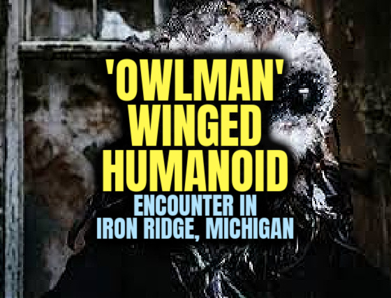 ‘OWLMAN’ WINGED HUMANOID Encounter in Iron Ridge, Michigan