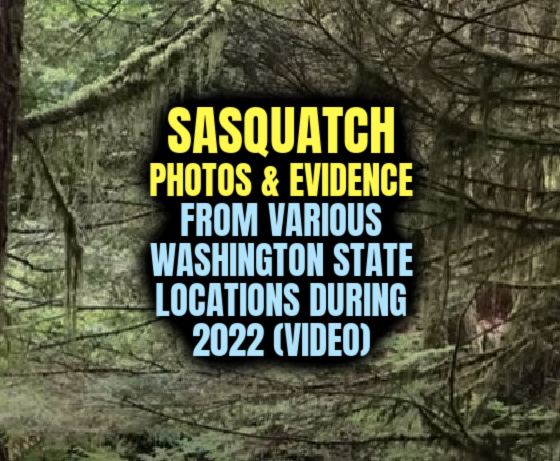SASQUATCH PHOTOS & EVIDENCE From Various Washington State Locations During 2022 (VIDEO)