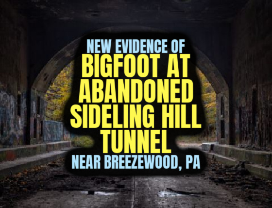 New Evidence of BIGFOOT AT ABANDONED SIDELING HILL TUNNEL Near Breezewood, PA (PHOTO)
