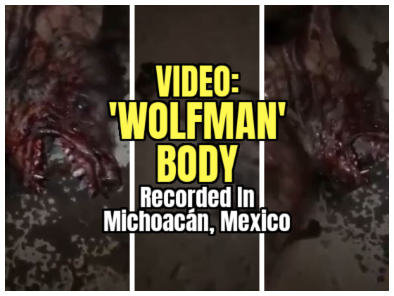 VIDEO: ‘WOLFMAN’ BODY Recorded in Michoacán, Mexico