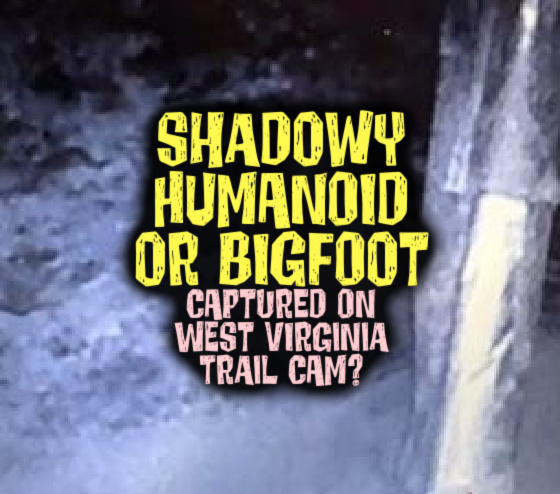 SHADOWY HUMANOID OR BIGFOOT Captured on West Virginia Trail Cam?